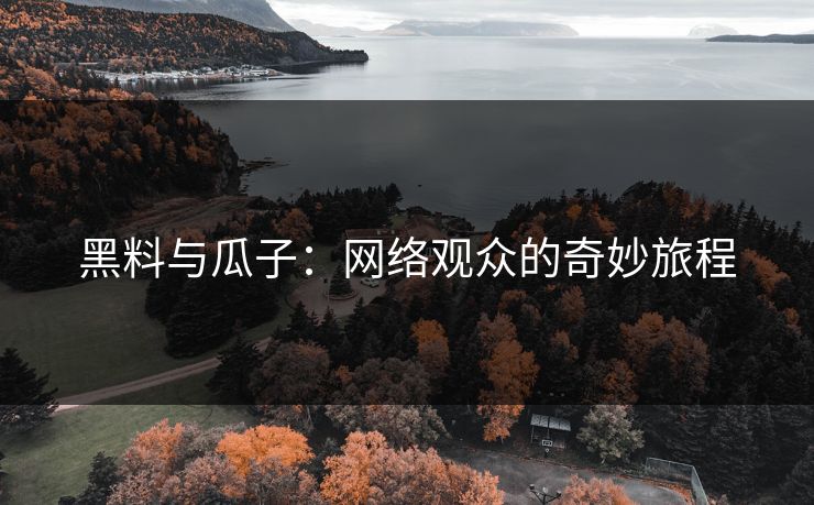 黑料与瓜子：网络观众的奇妙旅程
