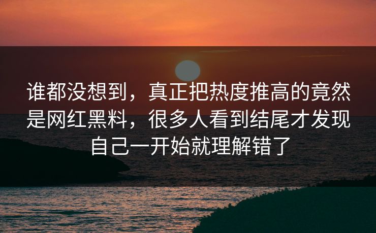 谁都没想到，真正把热度推高的竟然是网红黑料，很多人看到结尾才发现自己一开始就理解错了