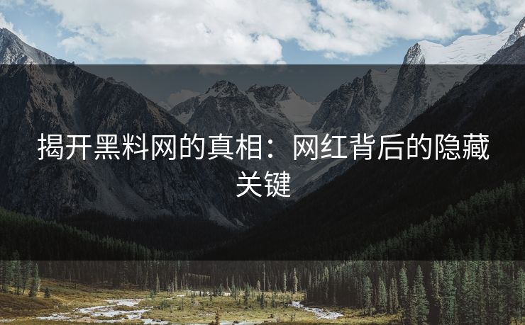 揭开黑料网的真相：网红背后的隐藏关键