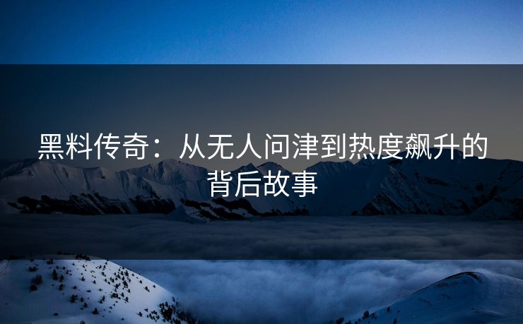黑料传奇：从无人问津到热度飙升的背后故事