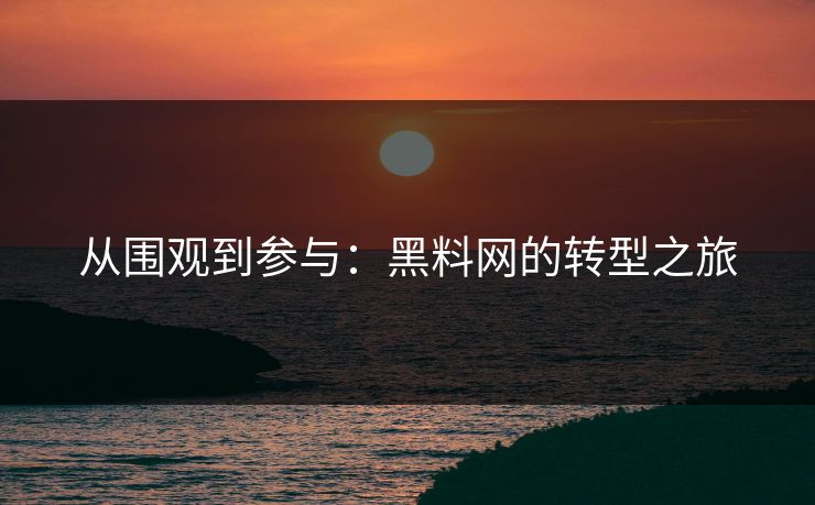从围观到参与：黑料网的转型之旅