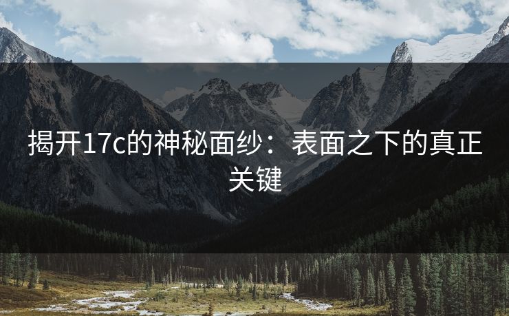 揭开<strong>17C</strong>的神秘面纱：表面之下的真正关键